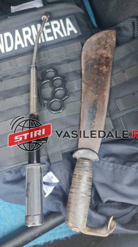 FOTO: Un fost elev a intrat cu o macetă într-un liceu din Satu Mare. A fost prins de jandarmi