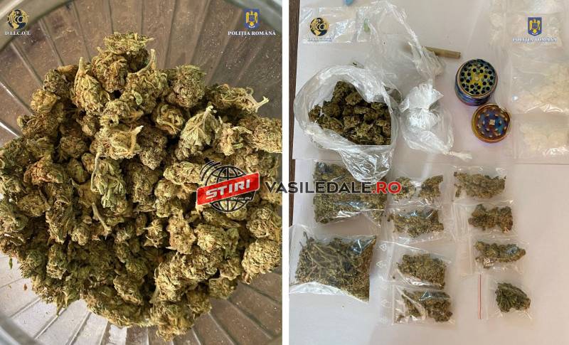 b3e30201-f37f-41e3-bf8b-2974704e9cf1