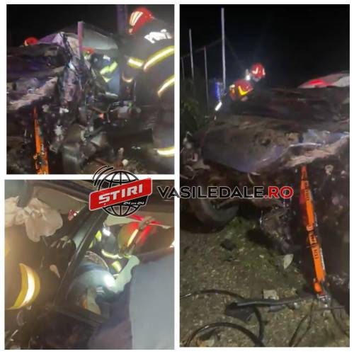 URMARE ACCIDENT VAD: A murit la spital și șoferul în vârstă de 21 ani. Pasagera a decedat pe loc (VIDEO)