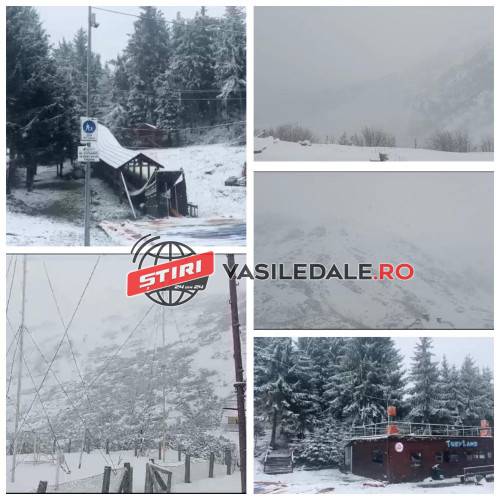 368424310_1437413876839473_5939137368960292846_n