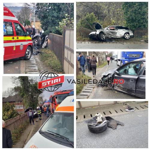 370243722_1262677707742498_7284922615742957468_n