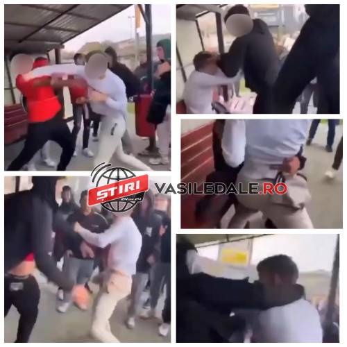 EXCLUSIV: Bătăușii au fost identificați. Au 15 respectiv 18 ani și sunt elevi ai unui liceu tehnologic din Sighet. Amândoi sunt cercetați penal