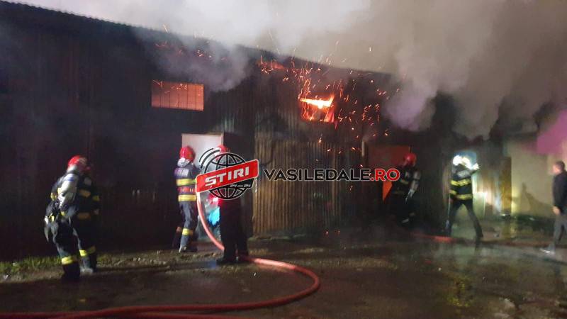 371537875_716483500390936_2088523966086181061_n