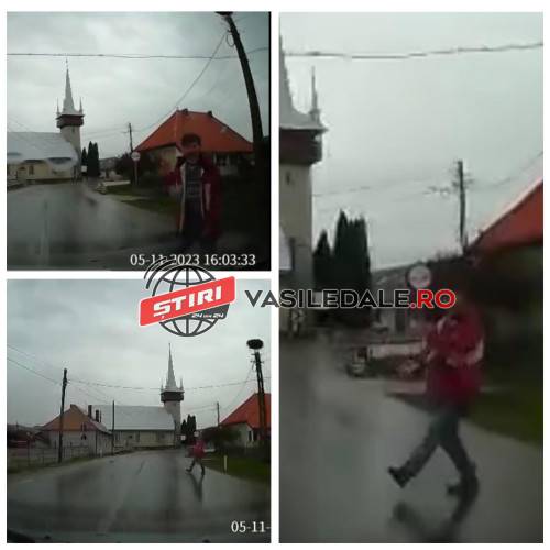 EXCLUSIV CAMERĂ BORD – INCIDENT ȘOCANT ÎN ȚARA LĂPUȘULUI: A sărit în fața mașinii, apoi a deschis portiera mașinii și i-a furat poșeta unei femei din brațe