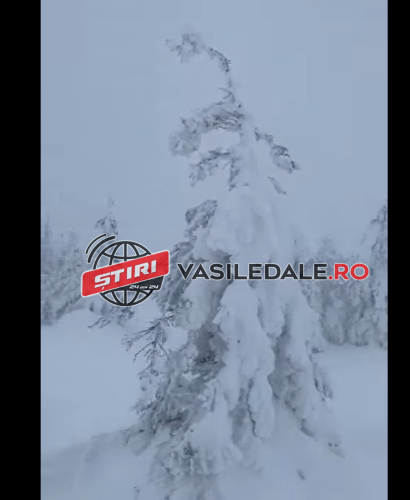 VIDEO: Ucrainean dispărut pe vf. Pop Ivan. A fost găsit după 30 de ore de grănicerii ucraineni – ACTUALIZARE