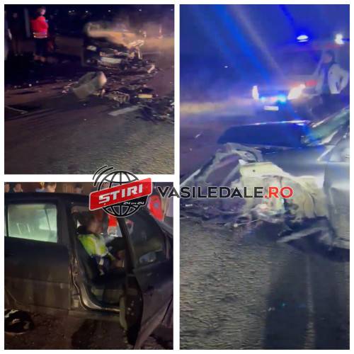 CINE E VINOVATUL: Un tractorist băut a provocat accidentul cu 5 victime din Viile Apei. Unul dintre șoferi a încercat să evite impactul cu remorca plină cu lemne