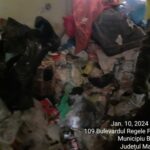 01de823c-7cea-4677-831f-3d71a3a2c729