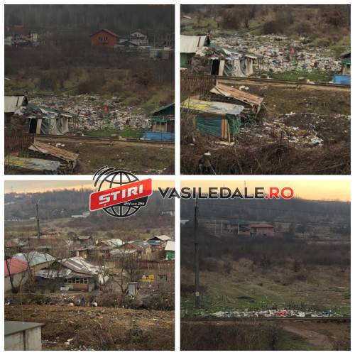 A trecut Revelionul 2024 și prin Baia Mare… PE EI ÎI VEDE CINEVA? S-au săturat de gunoaiele și scandalurile de pe Craica (foto)