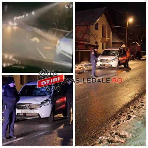 EXCLUSIV: A murit pietonul accidentat de șeful Centrului de Îngrijire și Asistență Poienile de Sub Munte