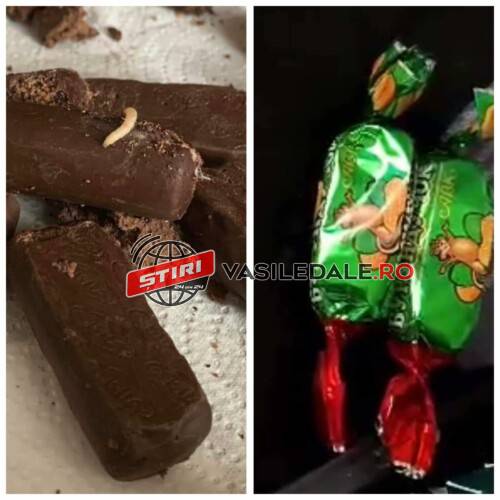 VIDEO – OFERTĂ BOMBĂ: Bombonele de ciocolată cu viermișori se vând ”ca pâinea caldă” în piața din Sighetu Marmației