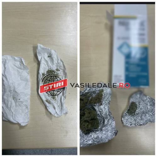 FOTO – În Parcul Dacia, jandarmii au prins trei adulți dar și un grup de minori ce aveau asupra lor substanțe posibil interzise