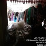 5398e46a-72a0-4284-81b1-a3c8f5bdf104