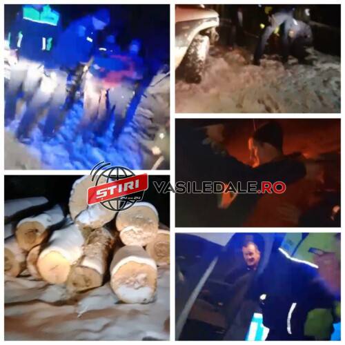 EXCLUSIV VIDEO: RĂZBUNARE LA BORȘA, localnic încătușat de poliție – Au blocat drumul pentru a nu se mai transporta lemn din munții Maramureșului!