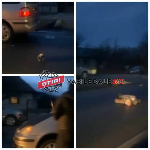 EXCLUSIV VIDEO: Bărbat ucis de o maşină la Sighetu Marmaţiei. A traversat neregulamentar – actualizare