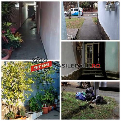 423599722_1548405169271885_1890447375984798904_n