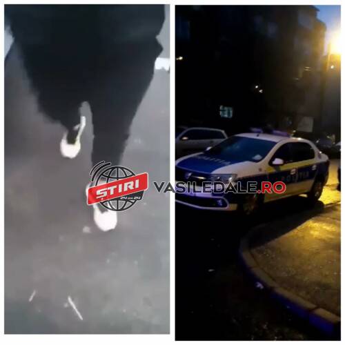 EXCLUSIV VIDEO: Femeie bătută în stradă de un bărbat. Agresorul l-a bătut și pe concubinul acesteia. A stat o zi în arestul POLIȚIEI, dar procurorii l-au lăsat liber