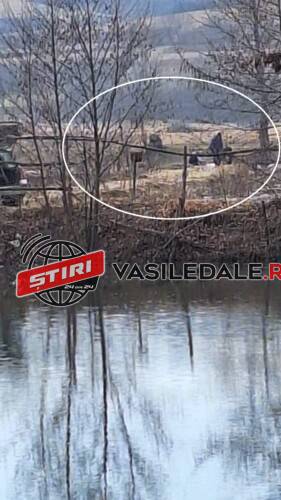 EXCLUSIV VIDEO – Braconaj pe balta Primăriei Remetea Chioarului. Trei suspecți prinși de poliție