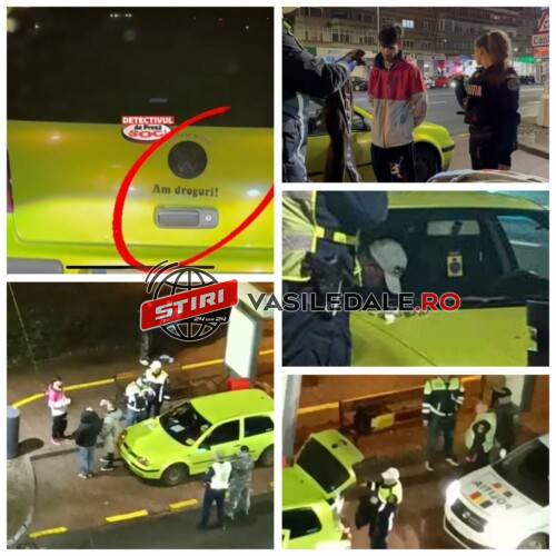 423766294_1172026147097638_2865817524573535570_n