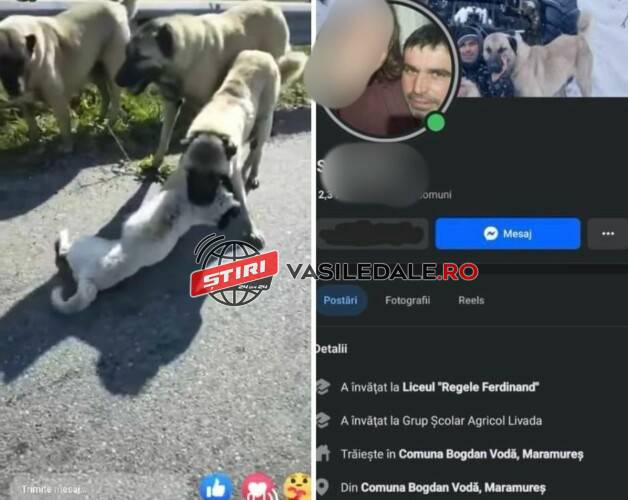 FOTO: Bărbat din Bogdan Vodă, reţinut după ce câinele lui a ucis un altul. Bestia s-a lăudat cu imaginile horror pe faceboook