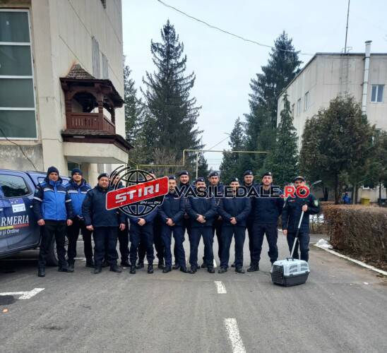 WhatsApp Image 2024-02-03 at 07.42.56