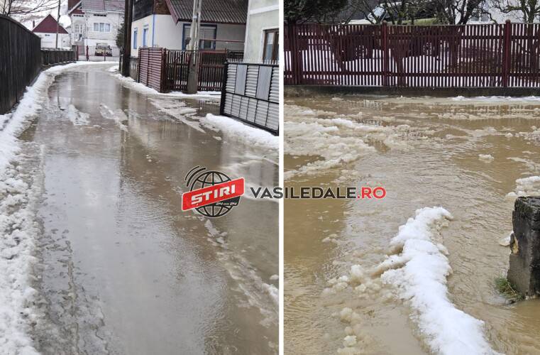 FOTO: Mai multe gospodării afectate de inundaţii în Borşa