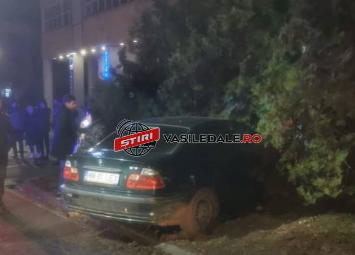 WhatsApp Image 2024-02-09 at 09.46.22