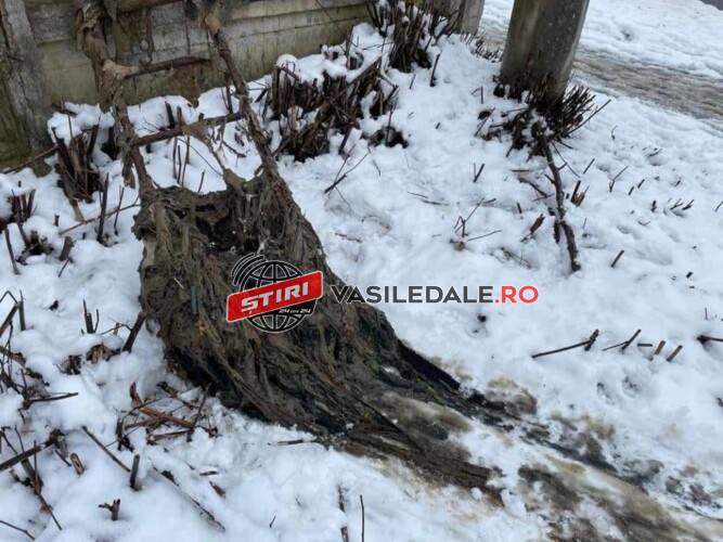 SOS CANALIZAREA! NU ARUNCAȚI ÎN CANALIZARE șervețele umede, pamperși, articole de igienă personală, lenjerie intimă, ambalaje din carton sau plastic, uleiuri, grăsimi sau substanțe chimice!