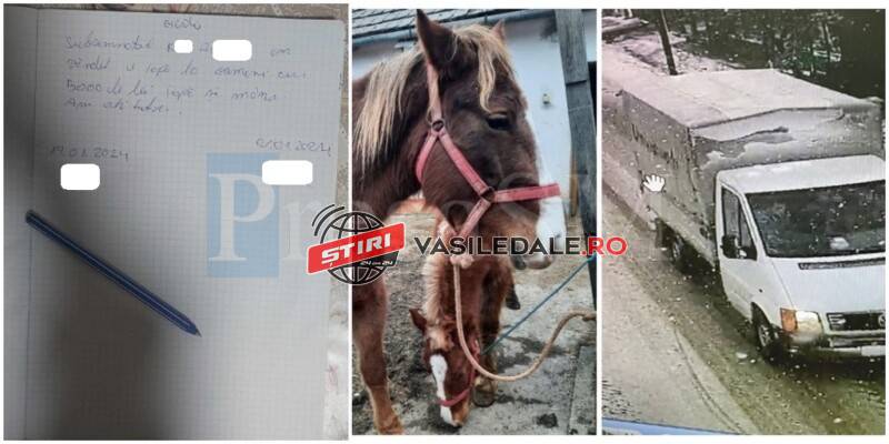 FOTO: Telenovela cailor declaraţi furaţi. Maramureşeanul spune că i-a cumpărat cu 5.000 de lei