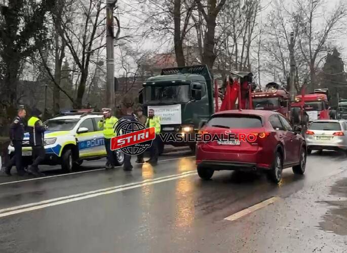 VIDEO: Protest la Prefectură din cauza crizei în industria lemnului. Scandal cu poliţiştii care au oprit camioanele