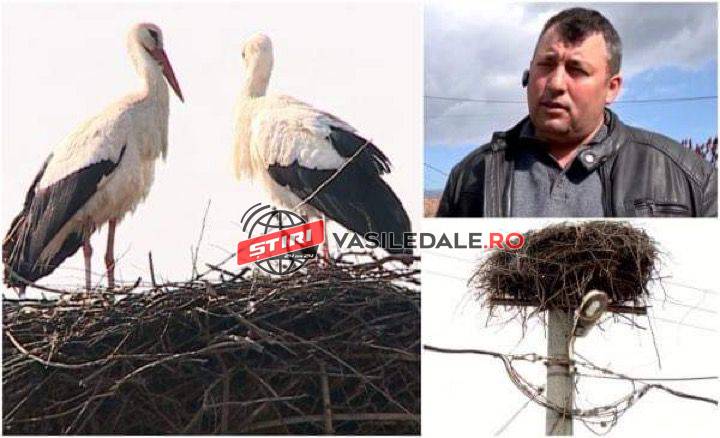 240b9509-e0da-4f4b-a629-c09a98f6a176