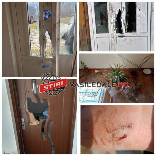 EXCLUSIVITATE – Coșmar pentru o familie din Moisei: Atacați în miez de noapte de doi bărbați înarmați cu un topor și o țapină. ”Ne-am ascuns sub pat în ultima cameră!!!”