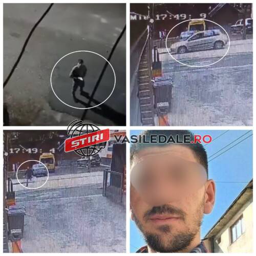 EXCLUSIV VIDEO: Clipe de coșmar pentru o tânără din Borșa. Amenințată cu securea, urmărită, înjurată. Suspectul… ”liber ca pasărea cerului”