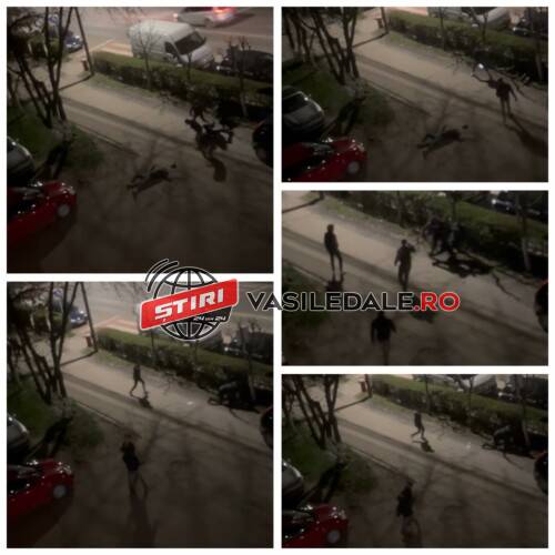 EXCLUSIV VIDEO: Bătaie năprasnică la Sighet – Șase tineri și-au dat ”omorul” în stradă în zona ”Dallas” – actualizare
