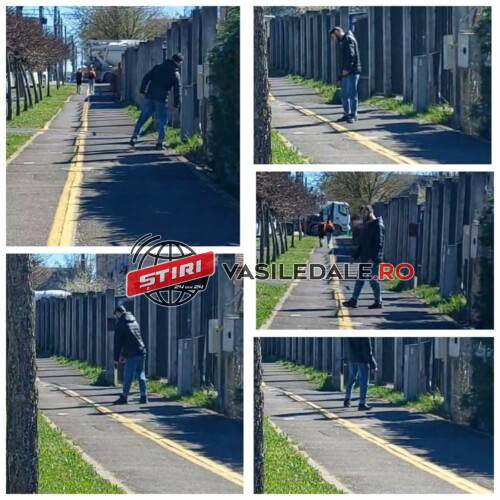 433542034_1479204926340337_1275124012589650883_n