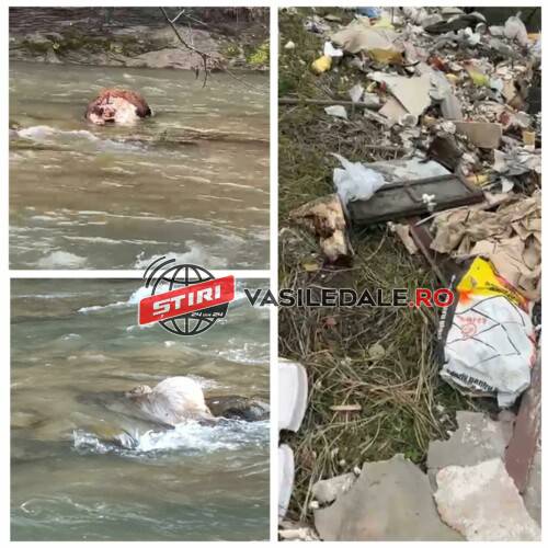 433778937_1116404092819004_1424943671261425970_n