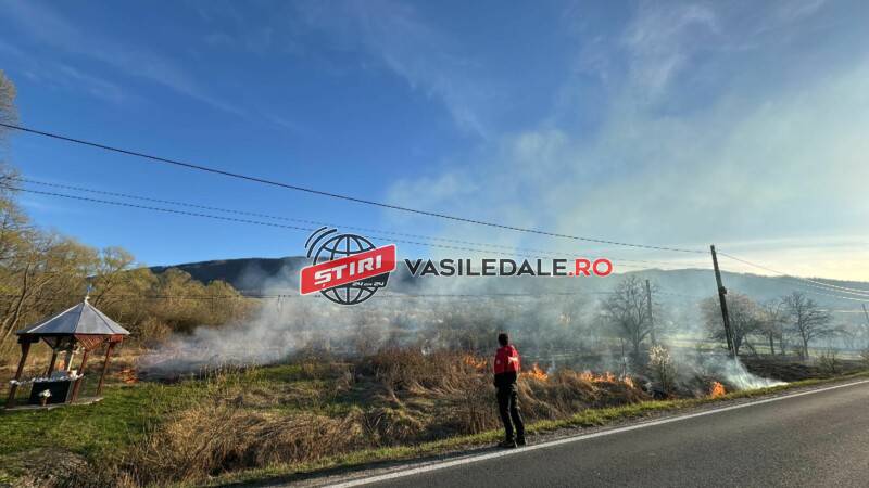 VIDEO: Mai multe incendii de vegetaţie uscată în judeţ