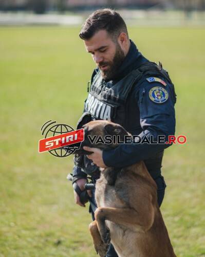 Poliţia Română caută iubitori de animale. Este disponibil și în Maramureș 1 post