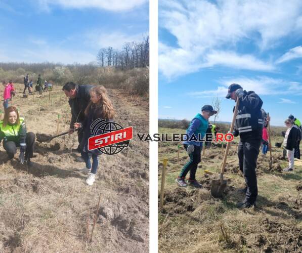 Fiecare copac plantat este un pas către un viitor mai curat și sănătos
