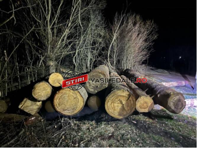 ȚARA LĂPUȘULUI: Verificarea legalității transportului materialului lemnos în vizorul polițiștilor