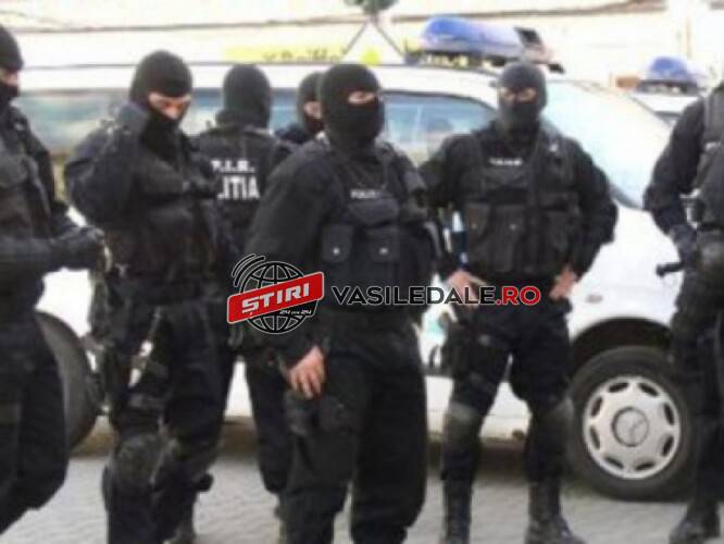 EXCLUSIV: SURSE – Percheziții IGPR la un transportator internațional din Seini. Polițiștii din Maramureș parte a activităților (actualizare)