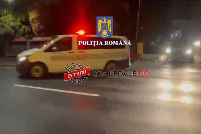 BORŞA: ACȚIUNE ÎN SISTEM INTEGRAT – PENTRU COMBATEREA INFRACȚIONALITĂȚII TRANSFRONTALIERE ȘI ÎN DOMENIUL SILVIC