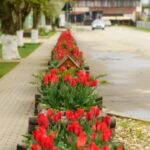 437684499_932640161987189_5508400134411175750_n