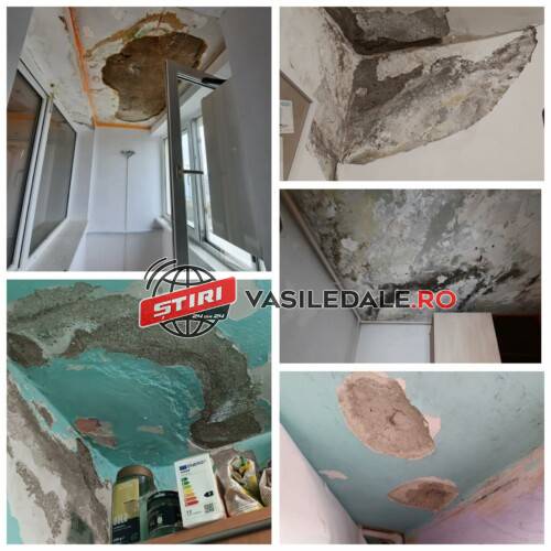 VIDEO: Reabilitare termică în bătaie de joc la Baia Mare. Locatarii se plâng că le plouă în apartamente