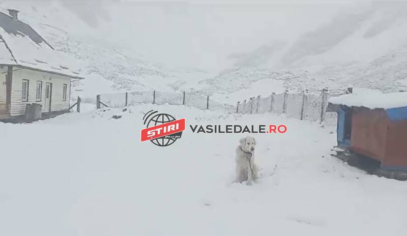 VIDEO: Iarna s-a întors în Maramureș. Ninge în munții Rodnei la Borșa