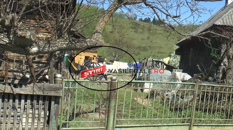 EXCLUSIVITATE: AVEM INTERVIUL – Grigore Bota a vorbit pentru prima dată după 24 de ani de pușcărie. ”Au pândit ca lupii la poartă! De asta nici nu am vrut să vorbesc”