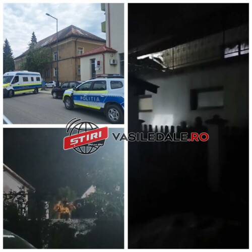 EXCLUSIV VIDEO / SCANDAL LA TÂRGU LĂPUŞ: Cinci scandalagii reținuți. Un bărbat şi 3 tineri arestaţi preventiv (actualizare)