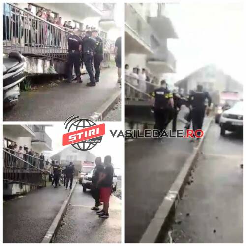 EXCLUSIV VIDEO: ÎNCĂTUȘAT de 4 POLIȚIȘTI – Un băimărean înjura pompierii care interveneau la stingerea incendiului. Hidranții nu aveau presiune