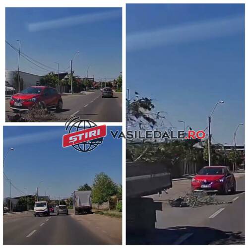 VIDEO CAMERĂ BORD: A evitat în ultimul moment impactul cu o creangă ce a căzut dintr-o autoutilitară