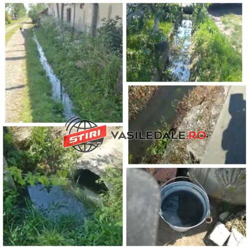 441133360_1140376640748625_4670390540371487176_n