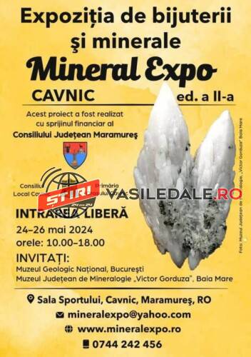 CAVNIC: MINERAL EXPO CAVNIC – MARAMUREȘ, ediţia a doua